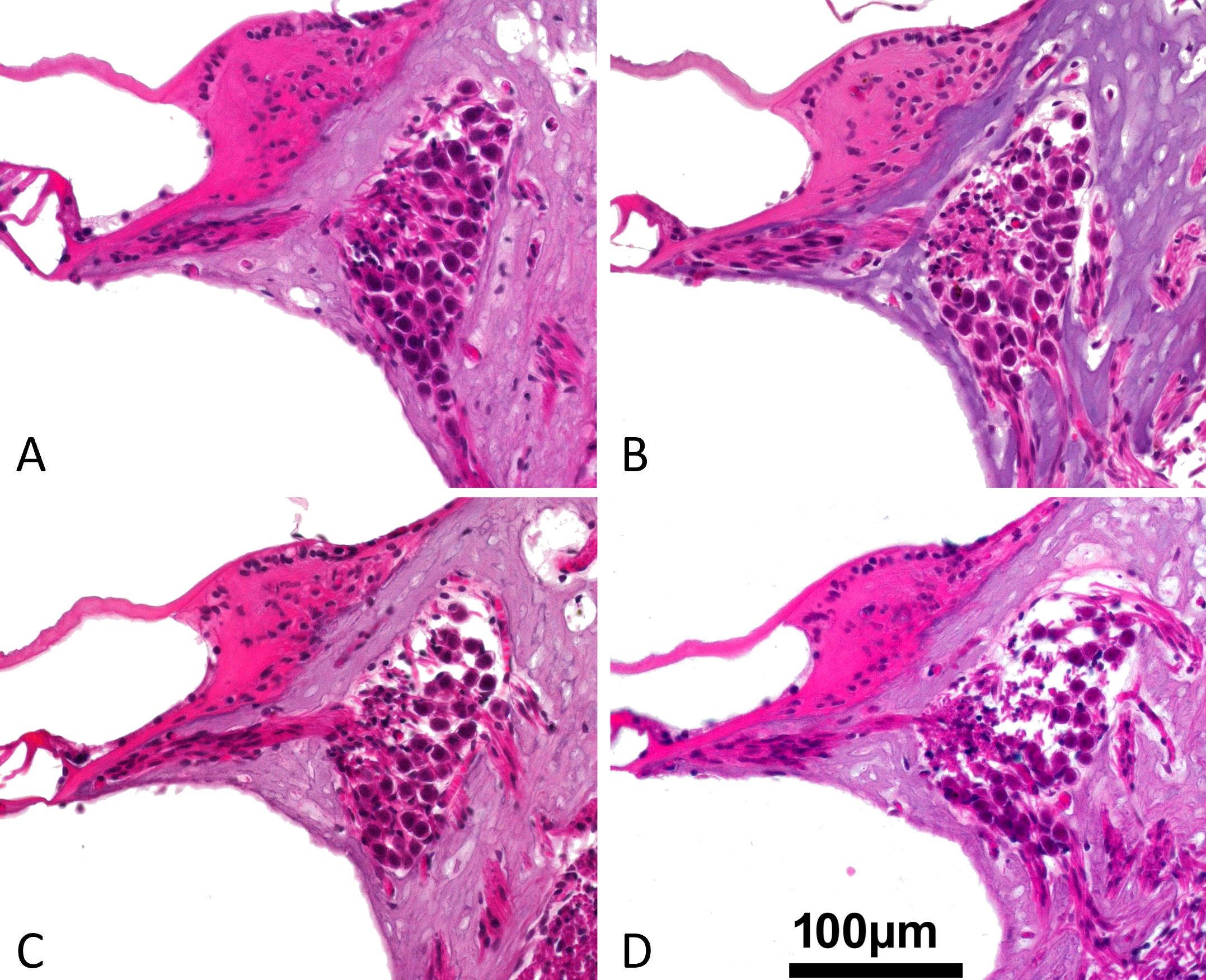 Figure 3.jpg